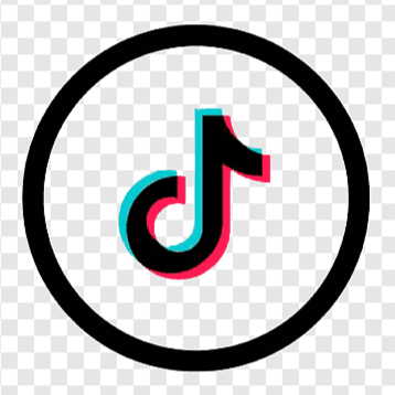 TikTok Profile Scraper (Private & Public)