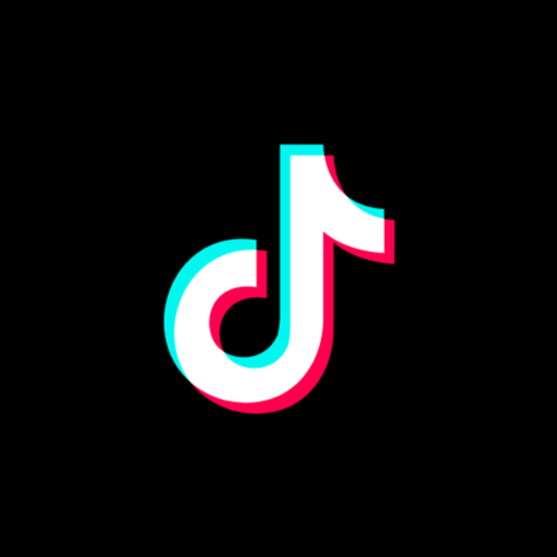 TikTok Data Extractor