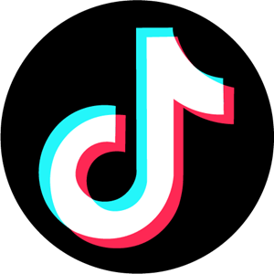 Super Tiktok Scraper 20x Efficiency with user videos + hashtags